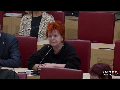 Bayerischer Landtag, Einwurf zur Debatte zum Transformationsfonds 22.1.2025