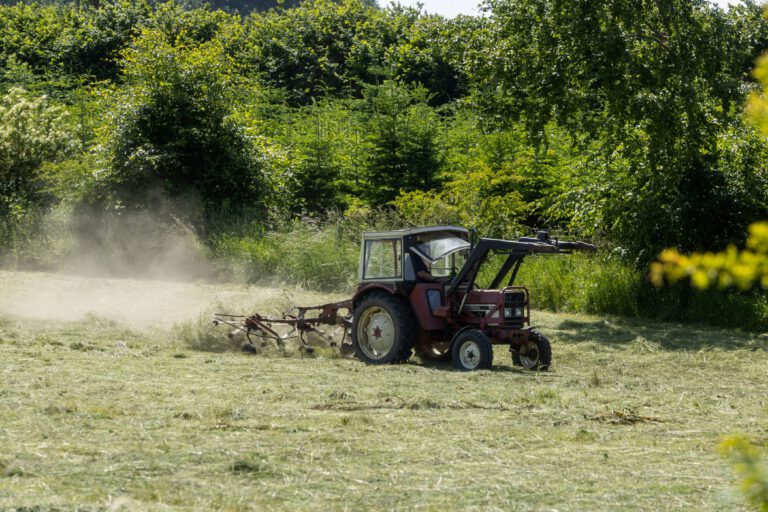 Söder und Glauber greifen Artenschutz-Volksbegehren an  