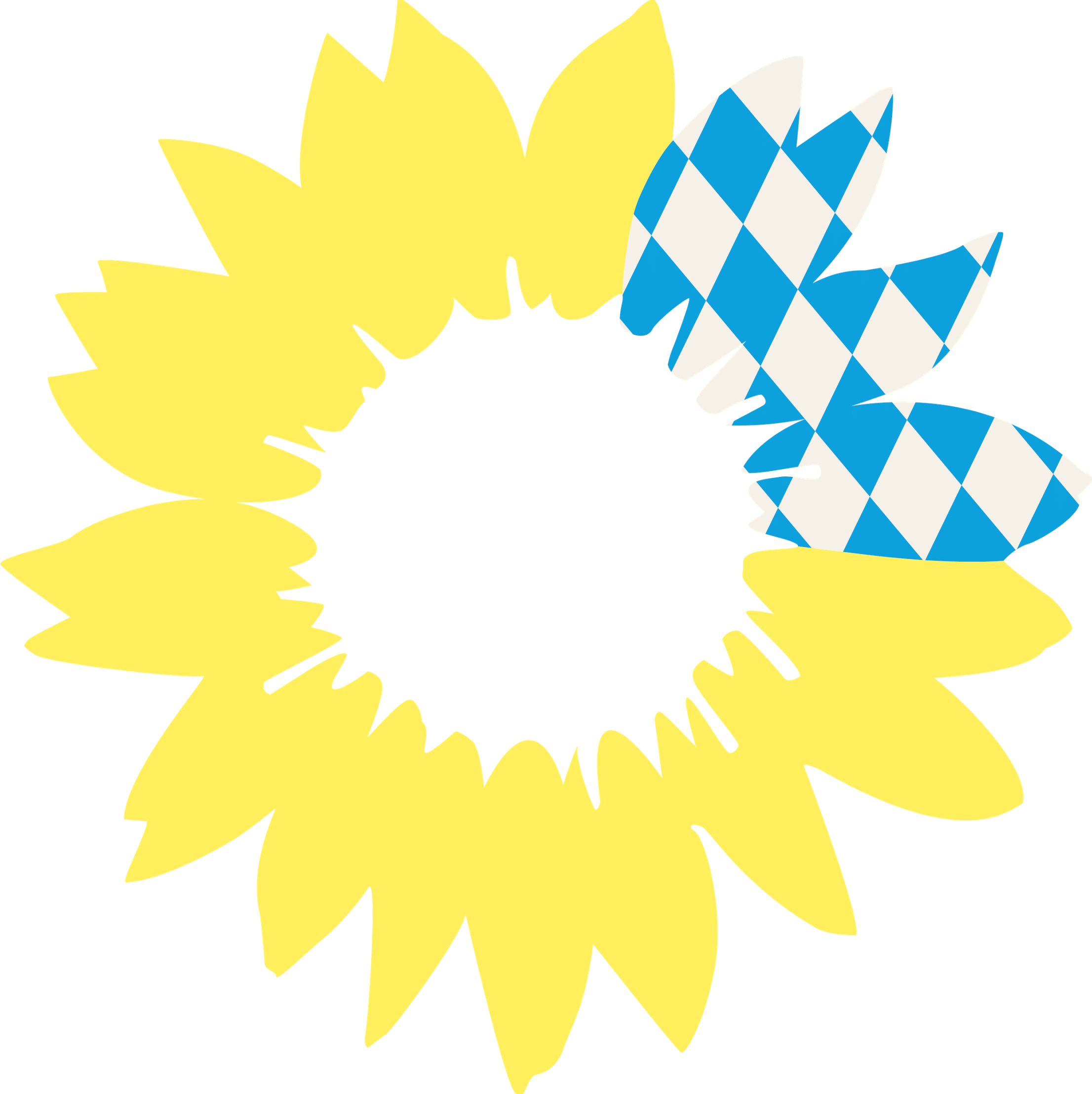 Barbara Fuchs